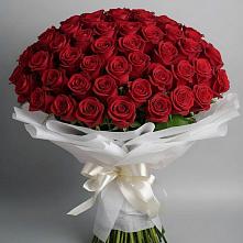 Букет 101 Красная роза Блэк Мэджик в Жешарте