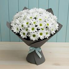 Букет цветов из:  Хризантемы в Жешарте