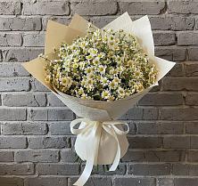 Букет цветов из:  Ромашки в Жешарте