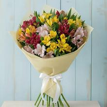 Букет цветов из:  Альстромерии в Жешарте
