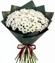 Букет цветов из:  Хризантемы в Жешарте