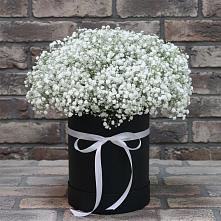 Цветочная композиция из Гипсофила в шляпной коробке в Жешарте