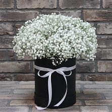 Цветочная композиция из Гипсофила в шляпной коробке в Жешарте