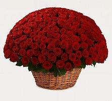 Премиум букет из: Розы в Жешарте