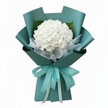 Букет цветов из:  Гортензия #REPLACE_PRED# Жешарте